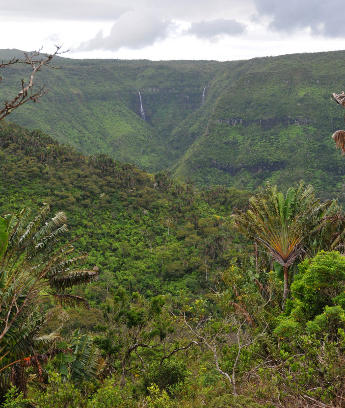 Black river gorge national park.