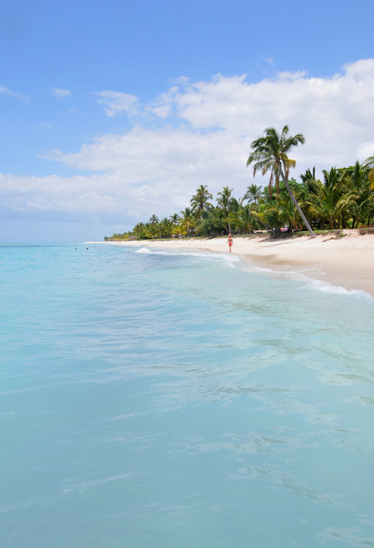Beach. Le Morne.