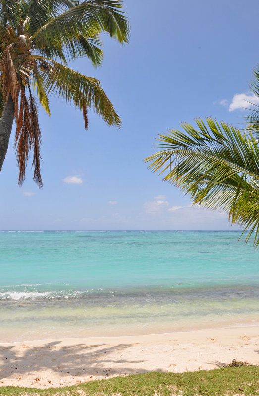 Beach. Le Morne.