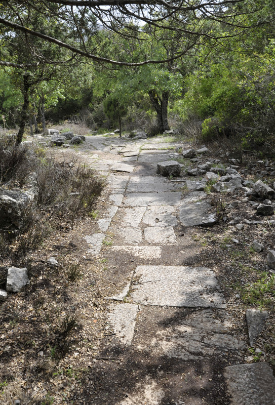 Termessos