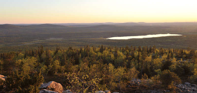Midnight sun. Sallatunturi.