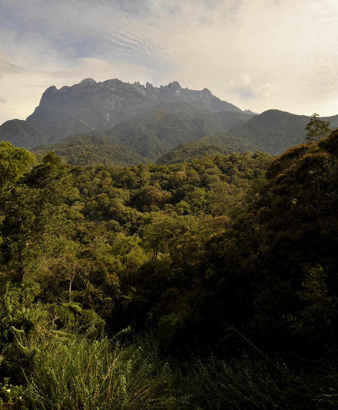 Kinabalu.3.jpg