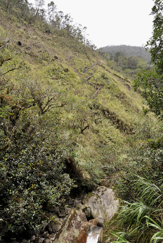 Mesilau landslide.jpg