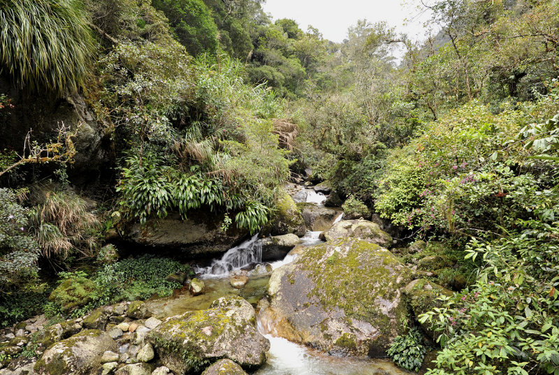 Mesilau river.jpg