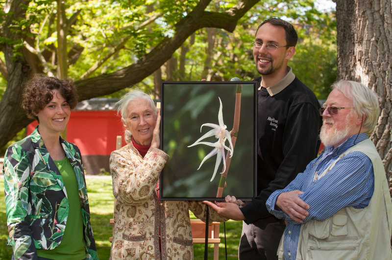 The authors of the species with Jane.
