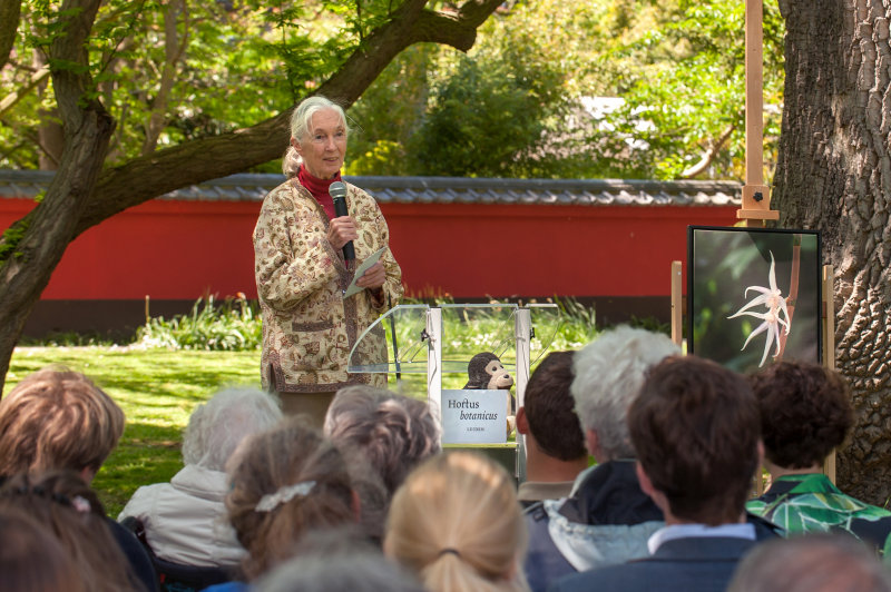 An interesting speech about plants.