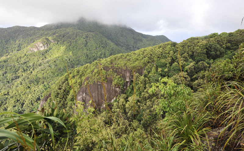 View from Morne Blanc towards Morne Seychellois.
