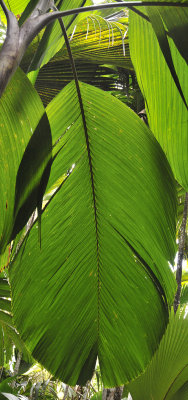 g9/48/839548/3/164995029.donbdxpx.jpg