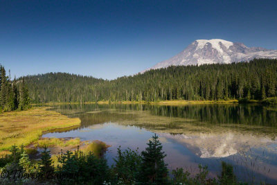 Mt. Rainier Reflection Lake