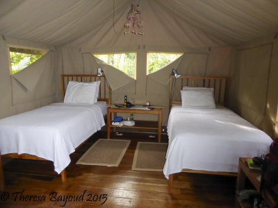 tent1-big.jpg