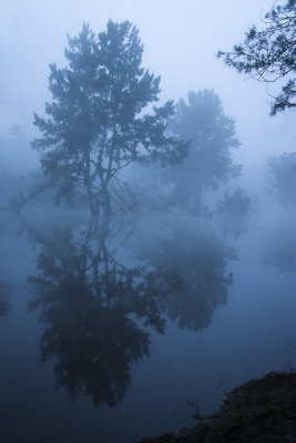 A Foggy, Foggy Morning