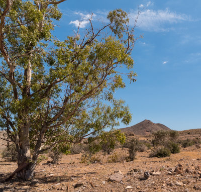  Rodalquilar, Cabo de Gata