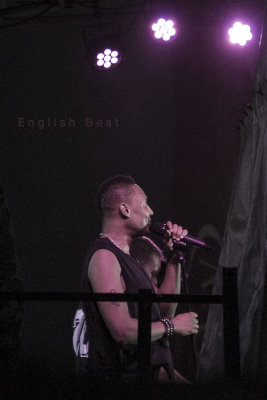 English Beat 4215.jpg