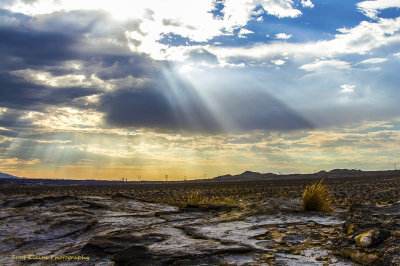 Mojave Desert 4373.jpg