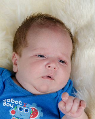 DSC_1756a.jpg