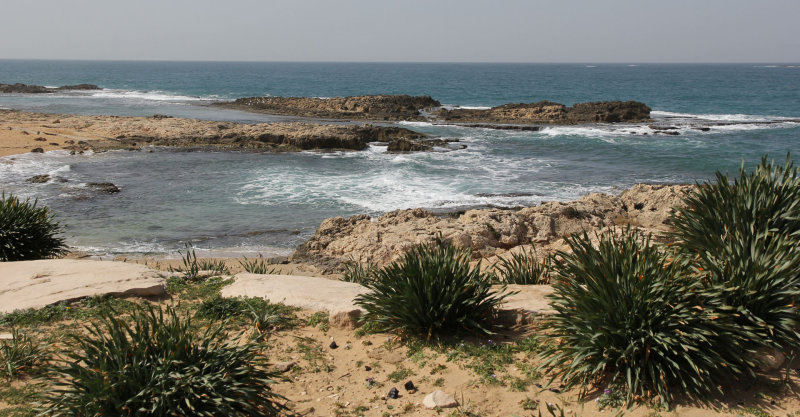 Ahziv_1-3-2015 (2).JPG