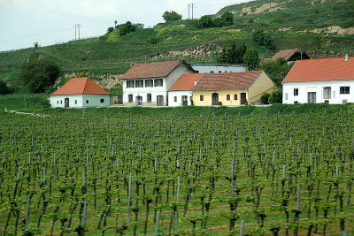 Wachau_10-5-2013 (53).JPG