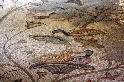 Tabha_4-6-2012 (7).JPG