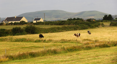 Ring-Of-Kerry_21-7-2013 (103).JPG