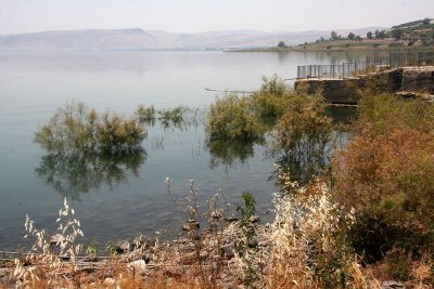Kfar-Nahum_4-6-2012 (35).JPG