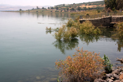 Kfar-Nahum_4-6-2012 (40).JPG