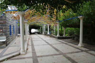 Kfar-Nahum_3-12-2014 (64).JPG