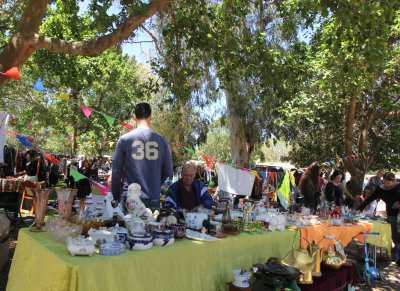 Kfar Masarik Flea Market_24-4-2015 (35).JPG