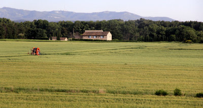Provence_16-5-2014 (61).JPG