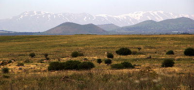 Gamla_3-4-2013 (62).JPG