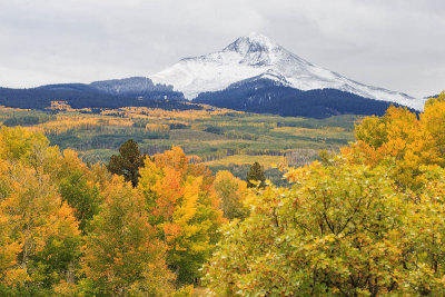 g9/49/1078749/3/157730358.PiuK9Vxy.jpg