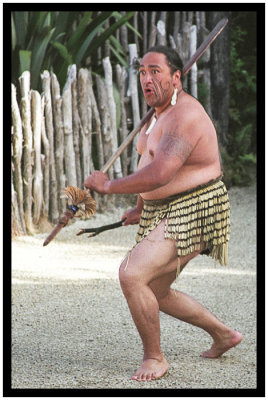 Maori haka war dance, New Zealand.