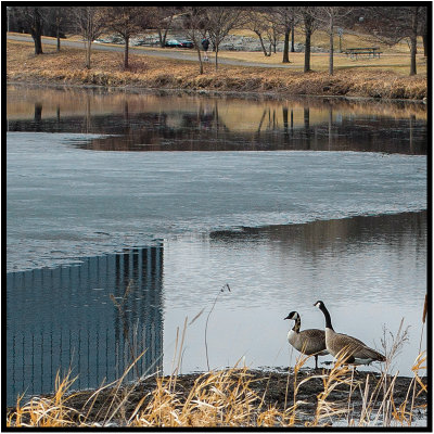 First day of Spring 2015, Bloomington, Minn.