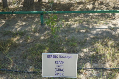DSC00888.JPG