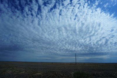 DSC01984.JPG