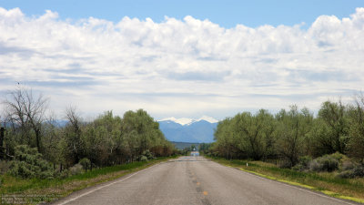 Lush vegetation along Hwy 100 north of Flowell