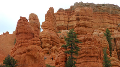 Red Canyon rocks prior to Bryce