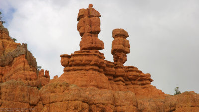 Red Canyon Hoodoes