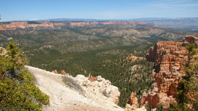 Black Birch Canyon from Rainbow Point