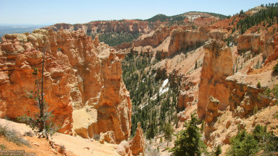 Black Birch Canyon view point