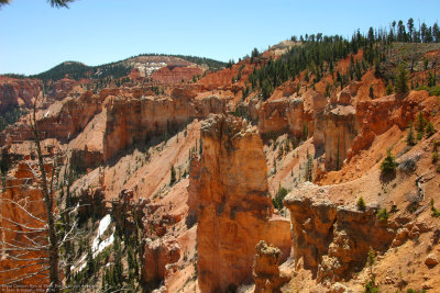 Bryce Canyon Rim at Black Birch view point