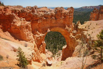 Natural Bridge