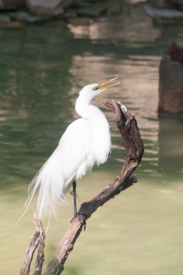 Photos from the first Dallas Zoo Photo Safari Overnight