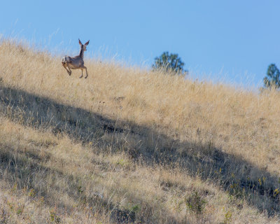 2016 09 10 PA0086a.jpg