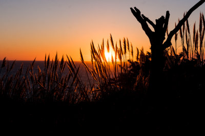 Sunset from Patricks State Park, Patricks Point