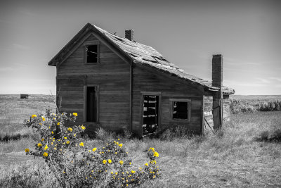 Old homestead off Hwy 97 in Oregon