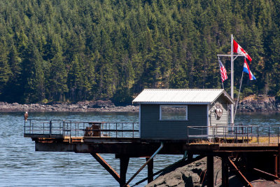 Fishing platform and cleaning station (and an eagle)