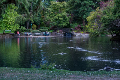 Beacon Hill Park, Victoria