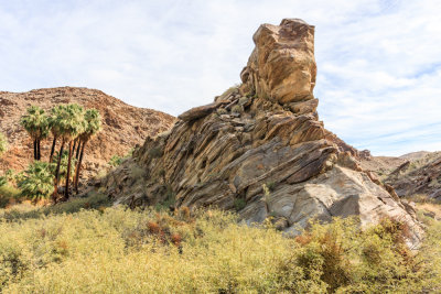 g9/49/330549/3/158902604.RJCV00pz.jpg
