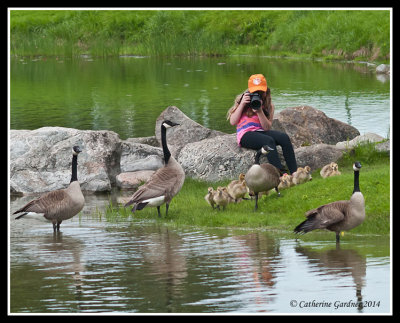 Budding Photographer