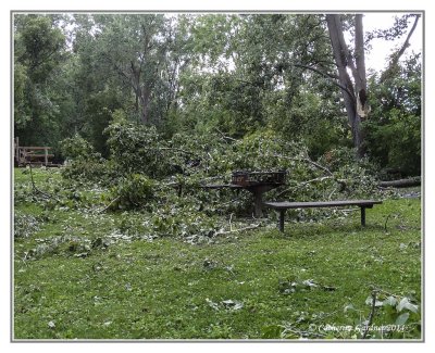 Andrew Haydon Park Storm Damage